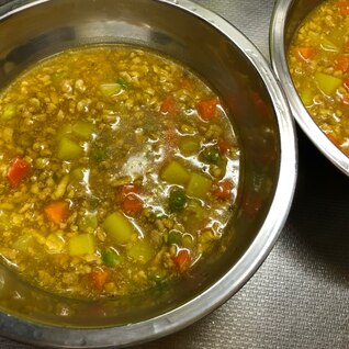 犬も喜ぶワンコカレー 愛犬用ご飯